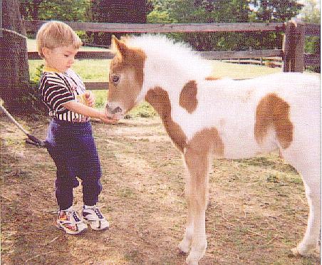 My "Two legged Foal" & "BLUE", a  2001colt ~ $800